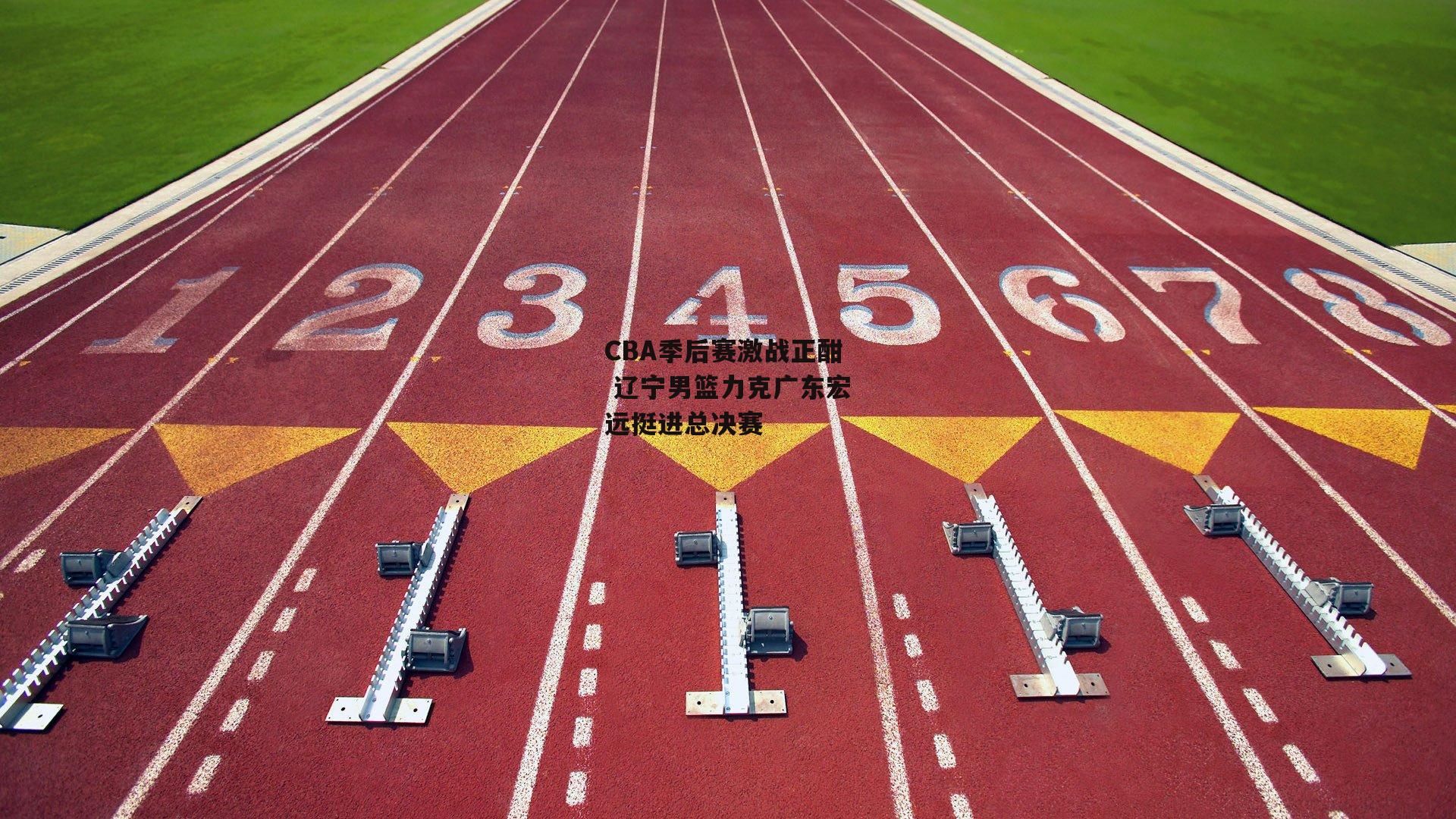 CBA季后赛激战正酣 辽宁男篮力克广东宏远挺进总决赛